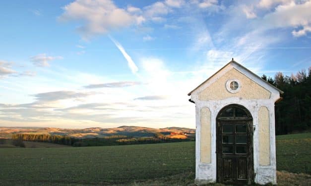 Fotowettbewerb: Platz drei für „Stammgast“