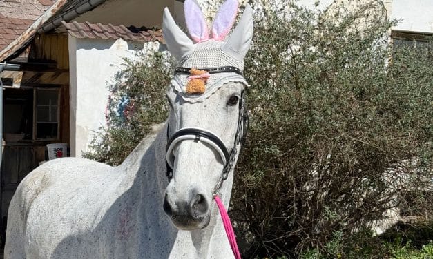 Ostereiersucheam Edlitzer Pferdehof