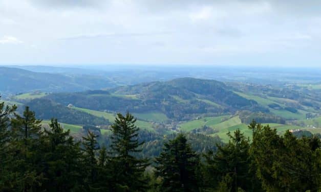 Highlights rund um Hochneukirchen 