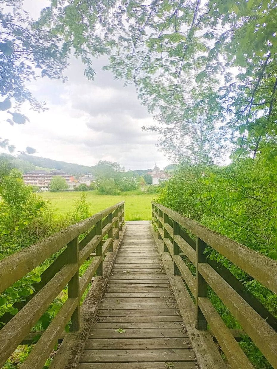 Genusswanderung Bad Schönau 5 IMG 20260518 135624 edited