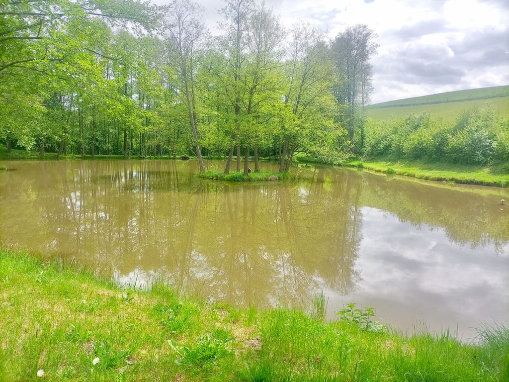 Genusswanderung Bad Schönau 3 IMG 20260518 140844
