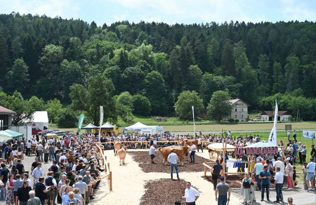 Volles Programm am „Tag des weißen Goldes“ 7 Weltmilchtag LFS7