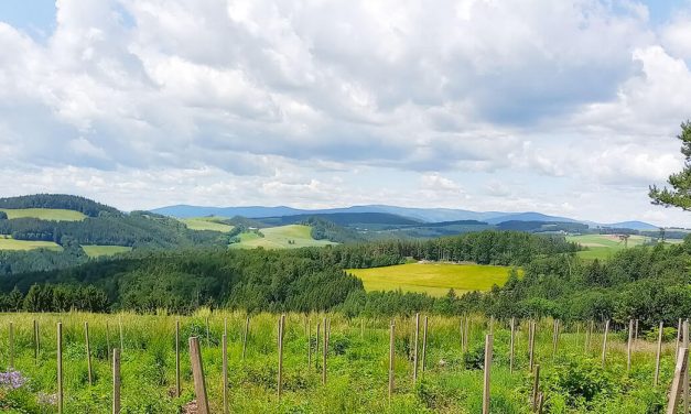 Über Berg und Tal nach Hollenthon