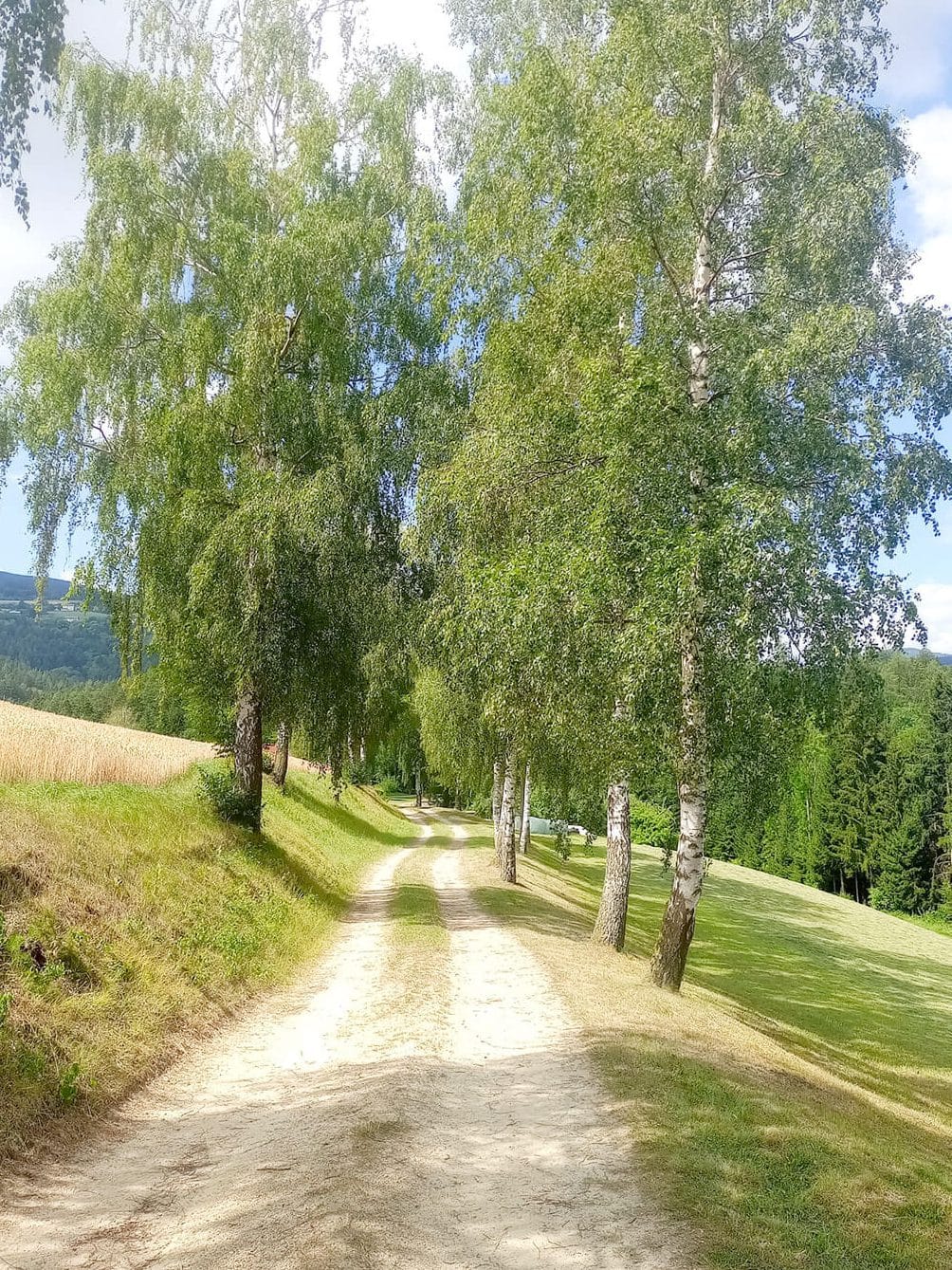 Über die Passkapelle zur Burg Feistritz 4 Ausflugstipp Allee edited