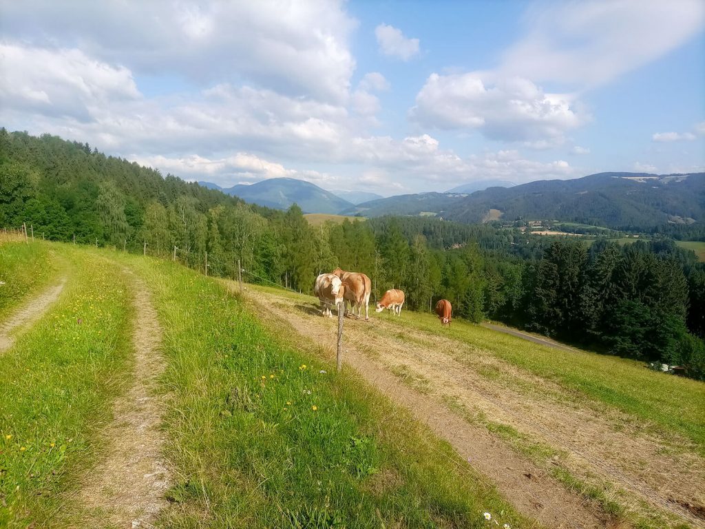 Über die Passkapelle zur Burg Feistritz 2 Ausflugstipp Blickplatz