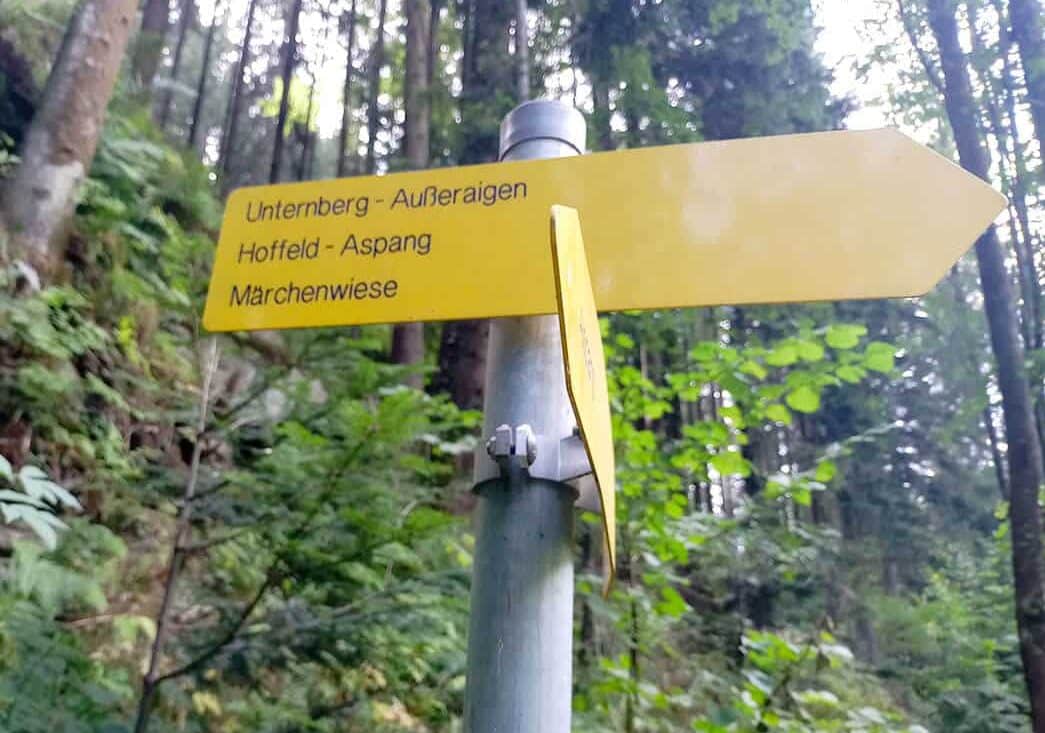 Eine Familienwanderung rund um Aspang 3 Ausflugstipp IMG 20260811 144232 edited