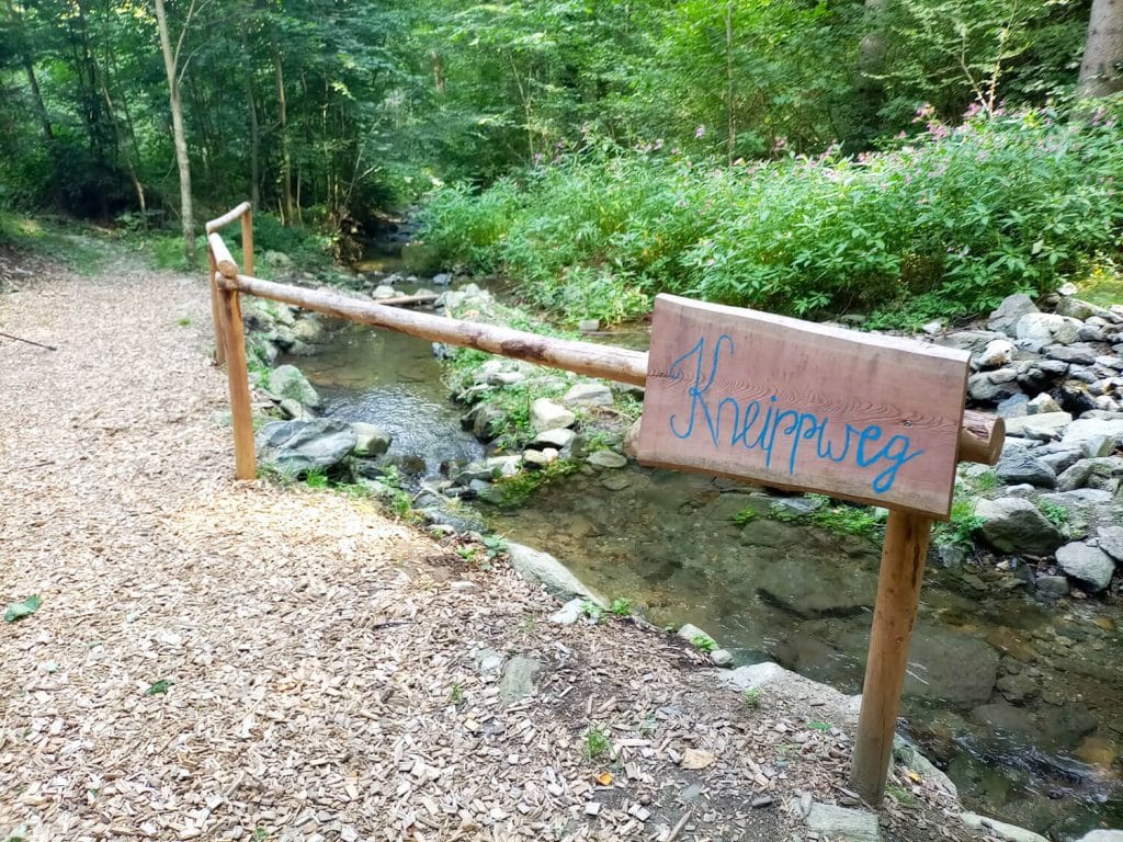 Eine Familienwanderung rund um Aspang 2 Ausflugstipp IMG 20260811 144858