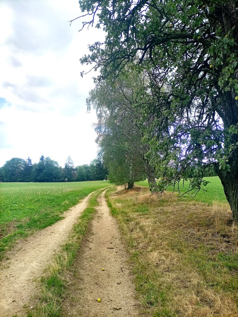 Zu den Blickplatzln in der Buckligen Welt 4 Ausflugstipp2 768x1024 1