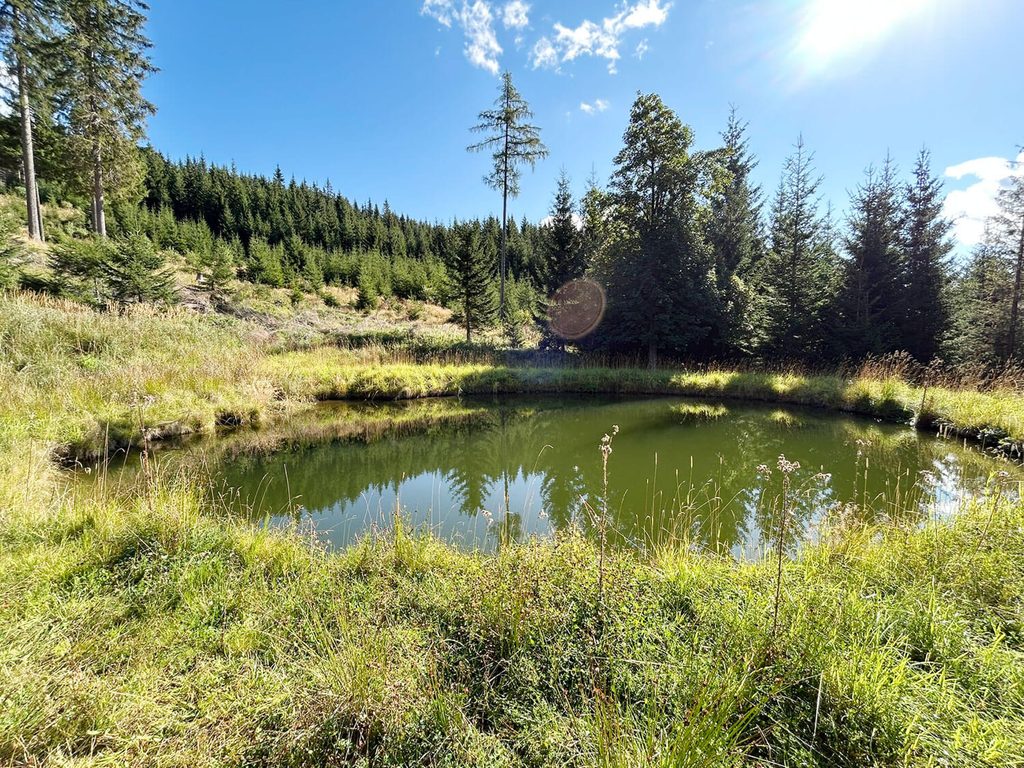 Exkursion: Wie der Wald klimafitter wird 1 Schenker2